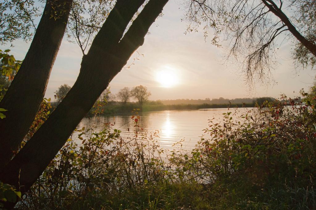 Seehotel Brandenburg An Der Havel Brielow Dış mekan fotoğraf